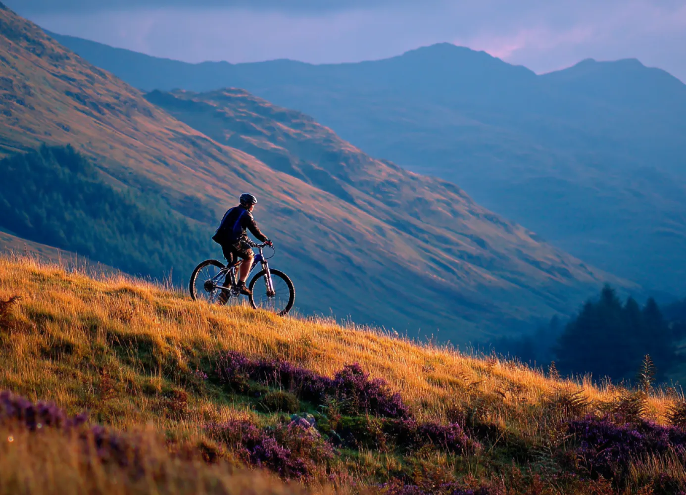 mountain biker on a mountain