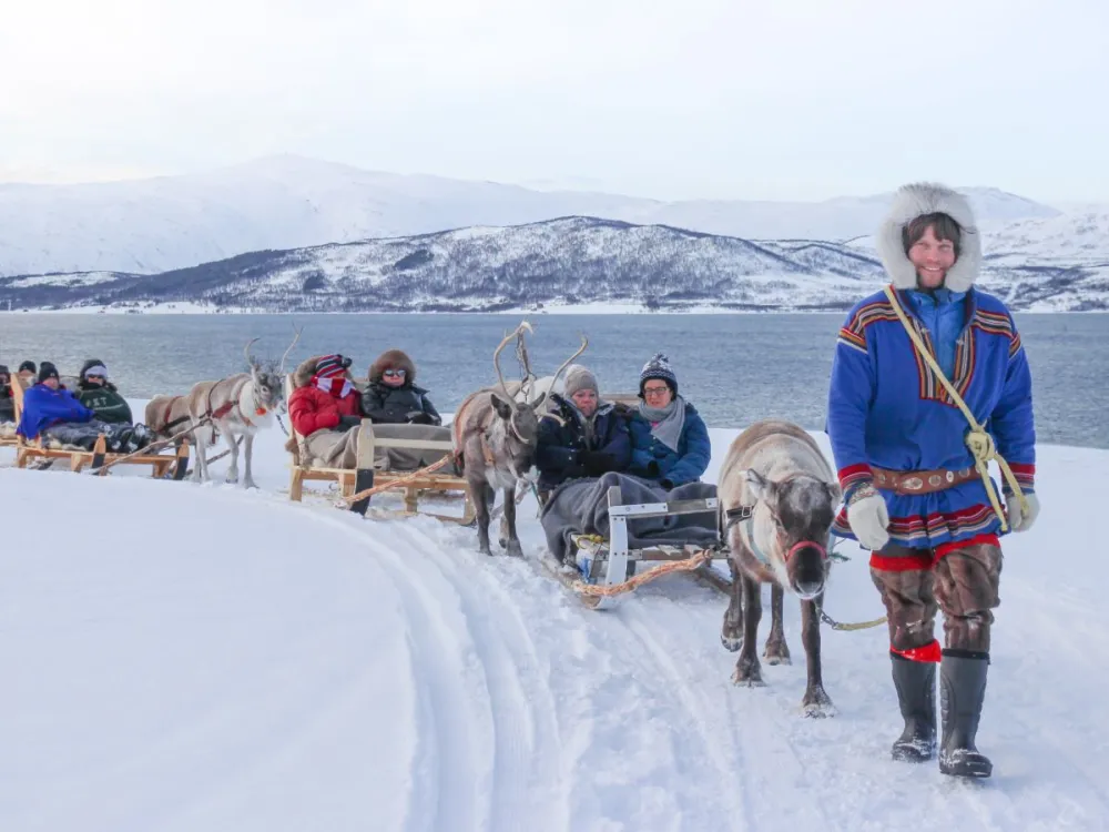 Long Reindeer Sledding, Reindeer Feeding and Sami Culture