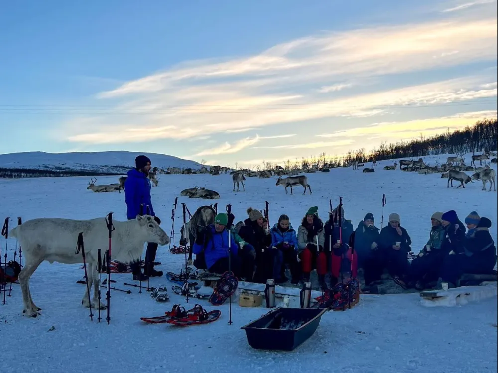 VÅGNES - Snowshoeing with Reindeer