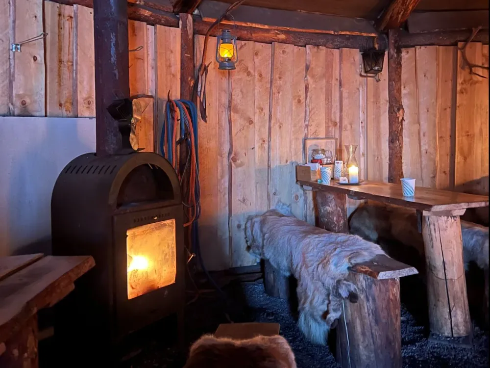 Vågnes - Reindeer Camp Dinner with Chance of Northern Lights