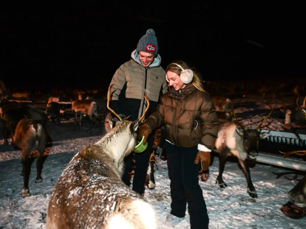 Vågnes - Reindeer Camp Visit & Aurora Chase