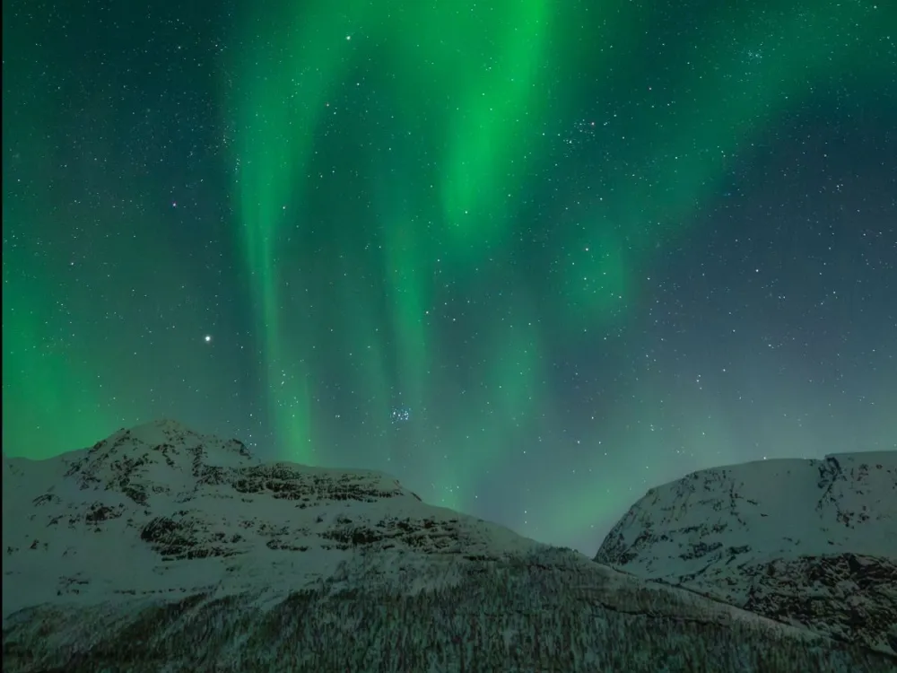 Vågnes - Reindeer Camp Visit & Aurora Chase
