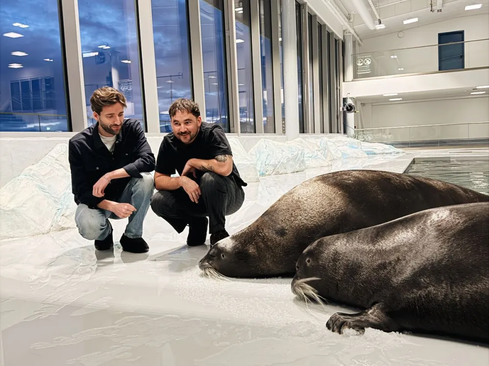 Entrance ticket (Package with add-ons)