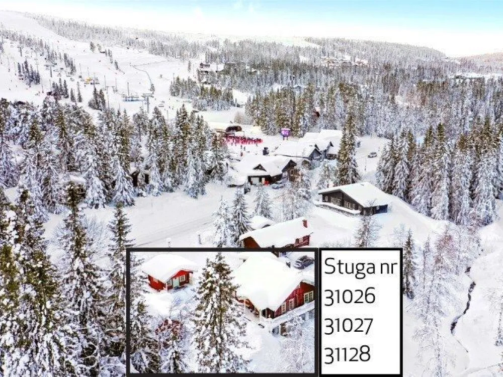 Cabin 2