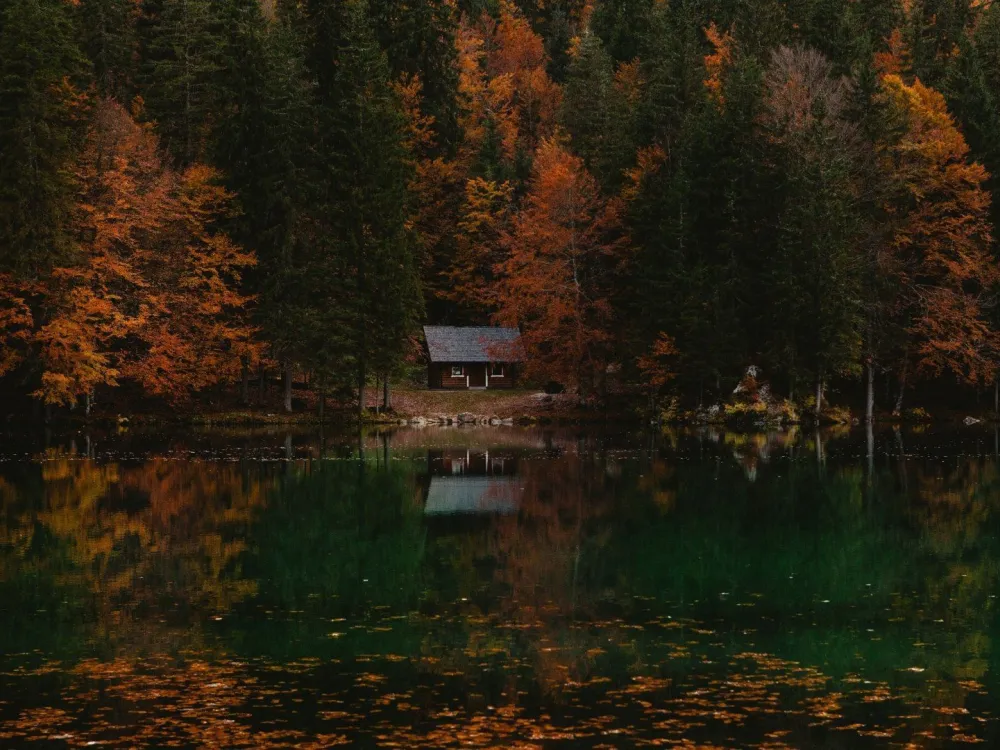 Cabin 1