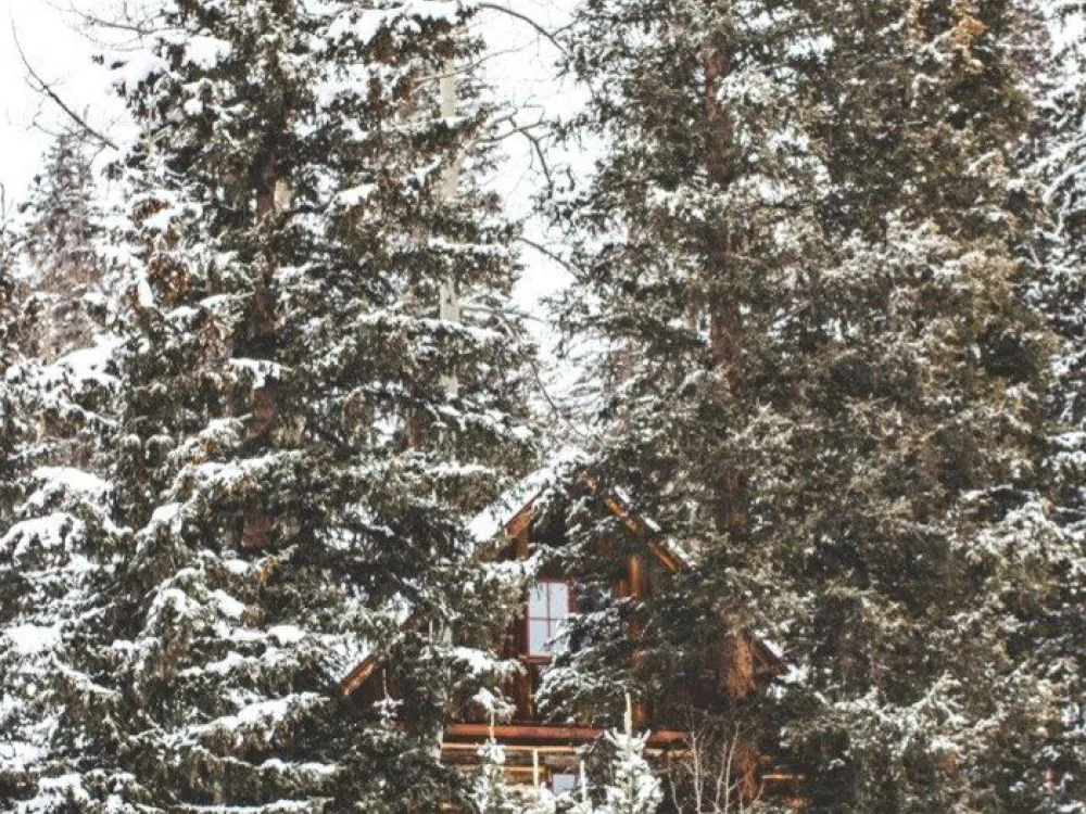 Cabin 1