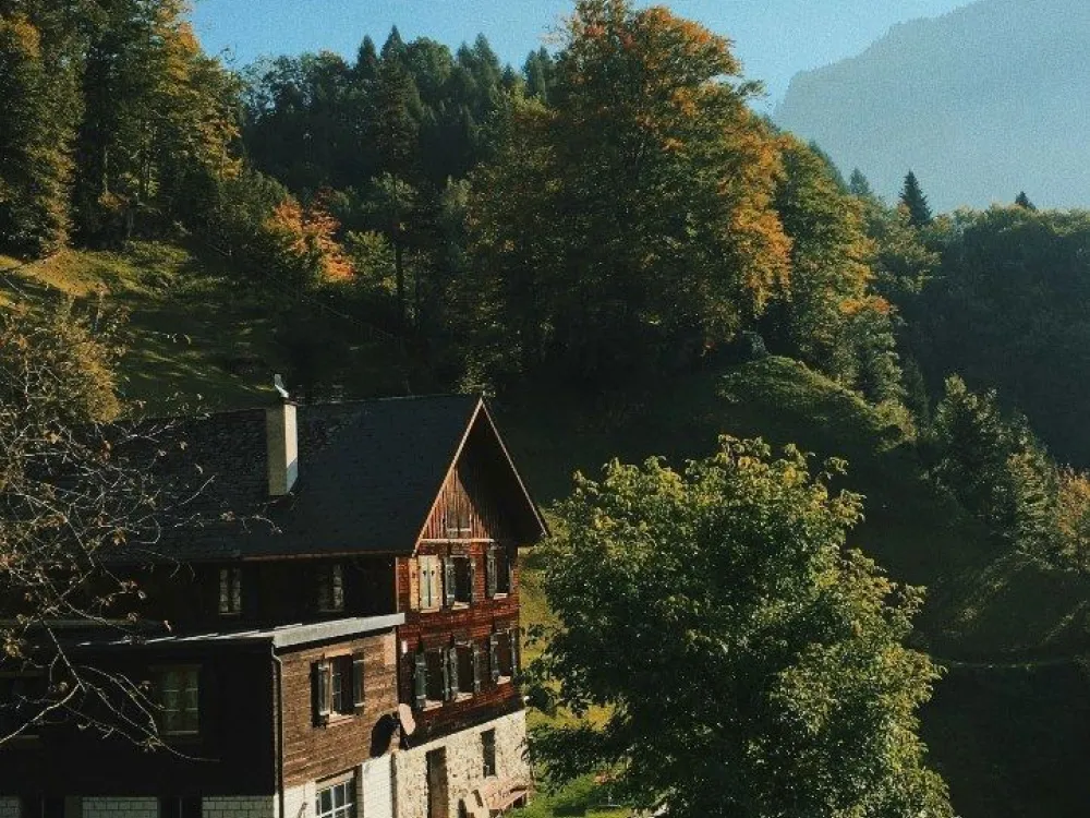 Cabin 8